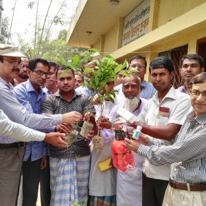 ভালুকা উপজেলায় মাল্টা চাষে বিপ্লব